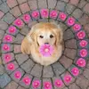 evikeller296 - @evikeller296 - TikTok
