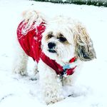 Evie Abbott - @evieabbott86 - Instagram