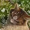 Evie Allen - @evie.allen1 - TikTok