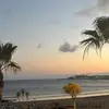 Evie - @evie.allen11 - TikTok