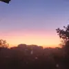 rose - @eviealvarez58 - TikTok