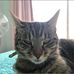 Evie Anderson - Facebook
