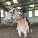|🇬🇧|Evie Anderson - @evie_anne_horses - Instagram
