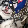 evie_arnold - @evie_arnold - TikTok