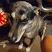 Evie Jean Arnold - Facebook