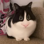 Evie Atkinson - Facebook