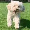 Bailey - @evie.bailey - TikTok