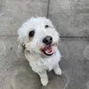 Evie Baker - @eviebakerr - TikTok