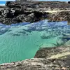 🌴🌊🌞🌺 - @evie.barker11 - TikTok