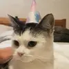 Evie Beard - @evvie017 - TikTok