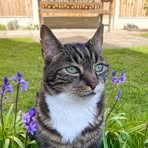 Evie Beard - Facebook