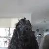 Evie Beardsell - @evie.beardsell - TikTok