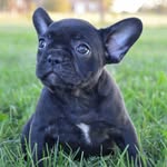Evie Bond - @bond_evie_bond - Instagram