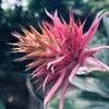 eviepriv - @eviebowen13 - TikTok