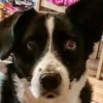 evie Boyle - @oxf_evie12 - Instagram