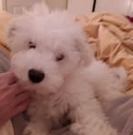 Evie Boyle - Facebook