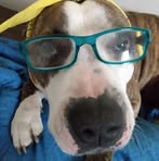 Evie Branch - Facebook