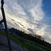 Evie Branch - @evie.branch0 - TikTok