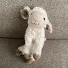lamb - @eviebright0 - TikTok
