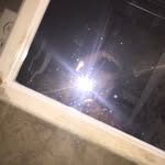 Evie Bryant - @eviebryant5559 - Instagram