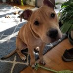 Evie Bryant - Facebook