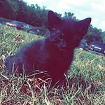 Evie Bryant - @eviebryant1 - Instagram