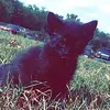 eviebryant11 - @eviebryant1 - TikTok