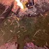 evie - @..evie.buitenhuis - TikTok