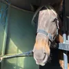 evie⚡️ - @evie.buitenhuis - TikTok