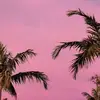 Evie Bush87 - @eviebush871 - TikTok