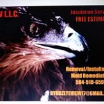 byrdzeyeview - @byrdzeyeview_insulremoval - Instagram