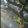 Cai&Eviee - @cai.and.eviee - TikTok
