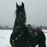 Evie Cailleret - @eviecailleret - Instagram