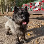 Evie.Cairn - @evie.cairn - Instagram