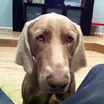 Evie Carroll - @evie76carroll - Instagram