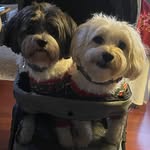Evie Cobb Carroll - @cobbjay - Instagram