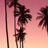 Evie Chambers 💕 - @evie.c_2006 - TikTok