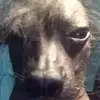 Evie Clark - @evie.clark27 - TikTok