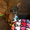 evie.clark1 - @evie.clark1 - TikTok