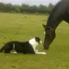 evieclements_xx - @evieclements_xx - TikTok