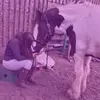 Evie’spriv - @evieclements0222 - TikTok