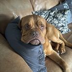 Evie Connor - Facebook