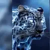 cortéz - @eviencortez - TikTok