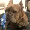 Evie Cox - @evie.cox6 - TikTok