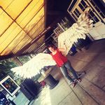 Evie Evie - @evie_day_imshuffling - Instagram