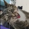 evie - @evie_deanznuts - TikTok