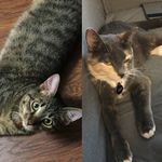 Evie Grace & Hunter Dean - @evieandhunter - Instagram