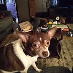 Evie Doyle - Facebook