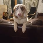 Evie Dyer - Facebook