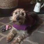 Evie dyer - @flower_vinesk3 - Instagram